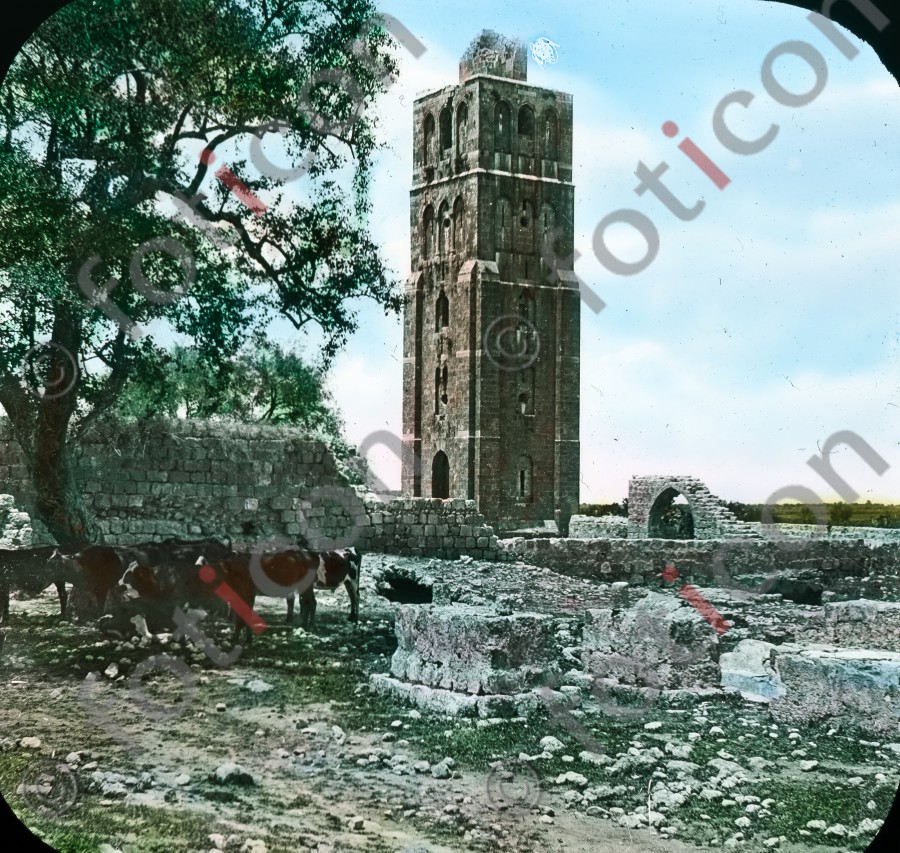 Turm der weißen Moschee in Ramla | Tower of the white mosque in Ramla (foticon-simon-054-004.jpg)